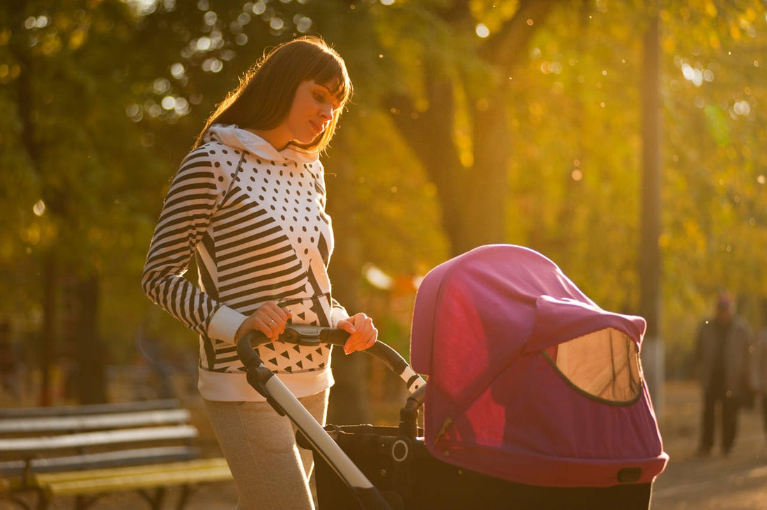 stroller phone holder